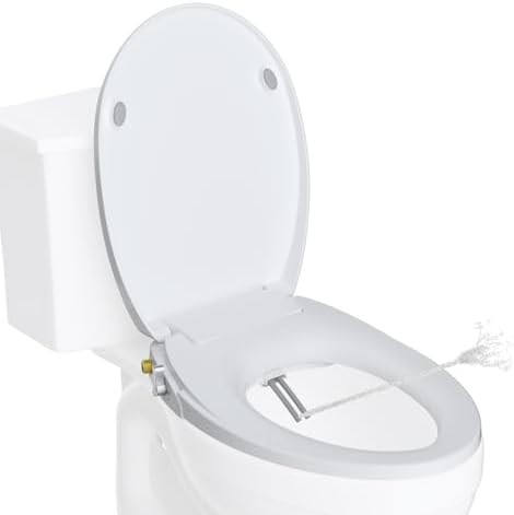 Round bidet toilet seat with dual nozzles