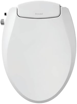 Elongated non electric dual nozzle bidet seat