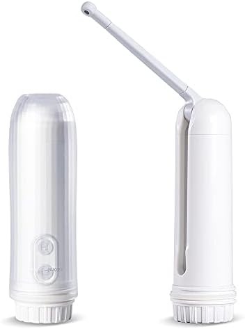 Electric portable travel bidet sprayer