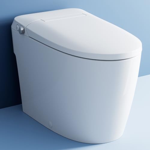 Horow non electric bidet toilet dual nozzle