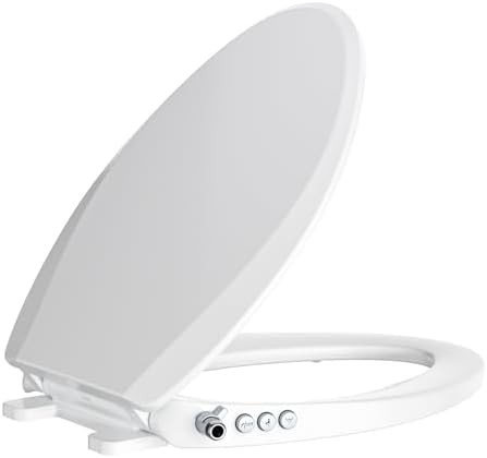 Elongated bidet seat with button controls