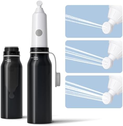 Electric portable travel bidet with three modes