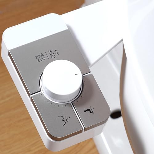 Self cleaning dual nozzle silver slim bidet