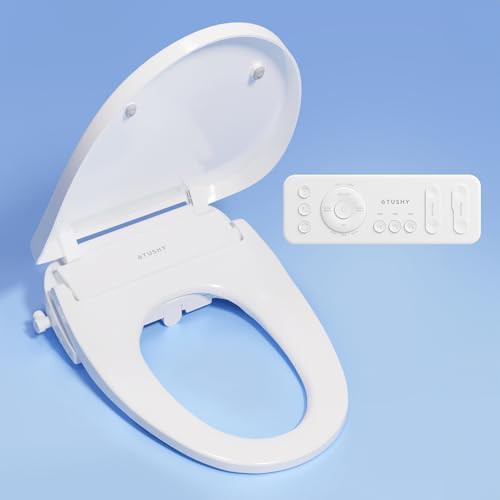 Cloud electric bidet toilet seat with remote and heated wash