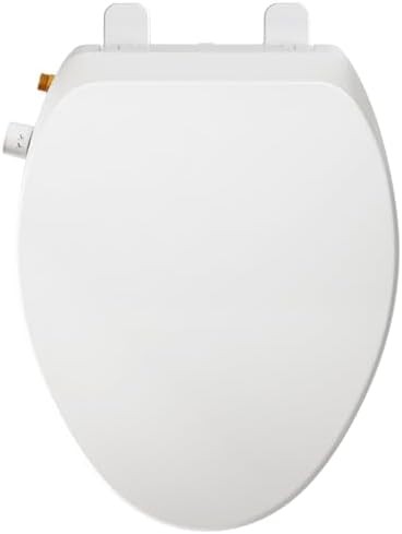 Elongated bidet seat with slow close lid