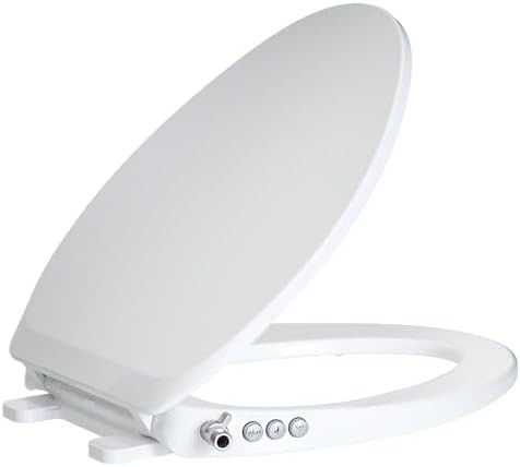 Self cleaning elongated bidet toilet seat