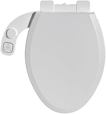 Elongated toilet bidet seat with dual nozzles